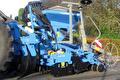 Rabe